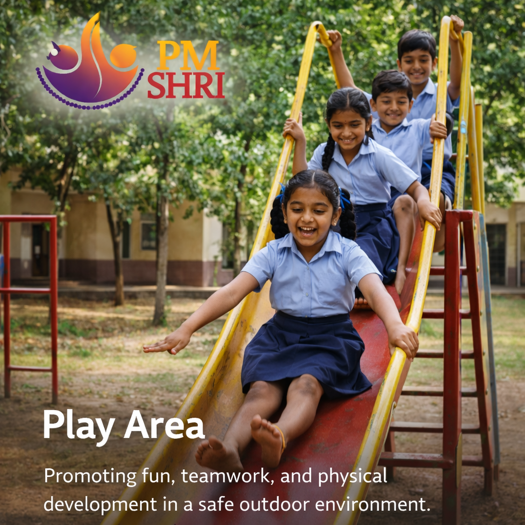Play Area